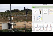 how IoT is used in Environmental Monitoring: